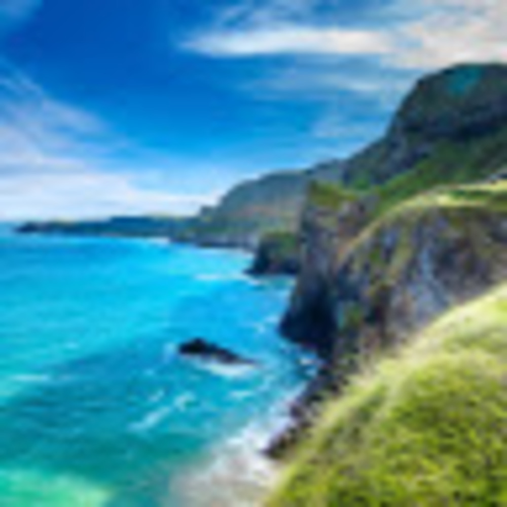 Meet your Posher, Alannah